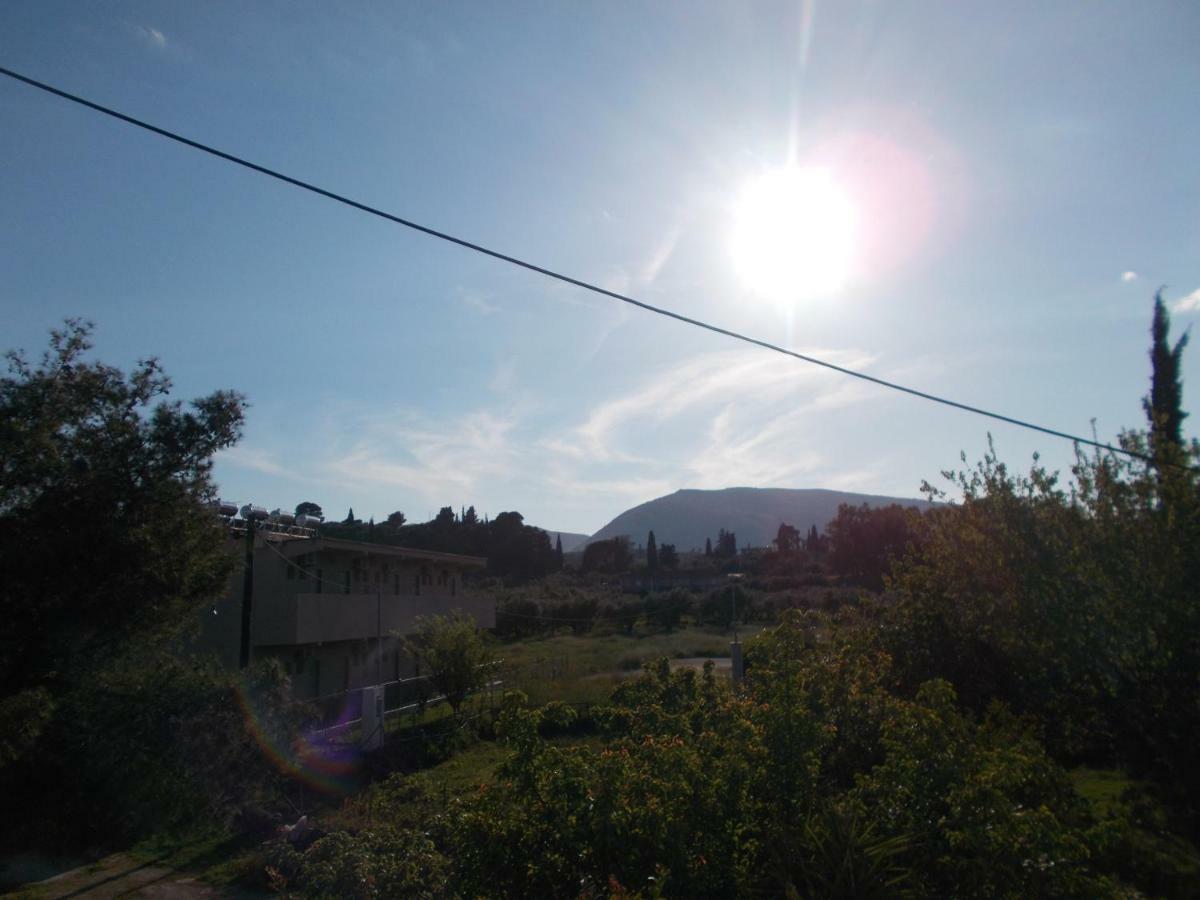 Summer Holidays In Laganas